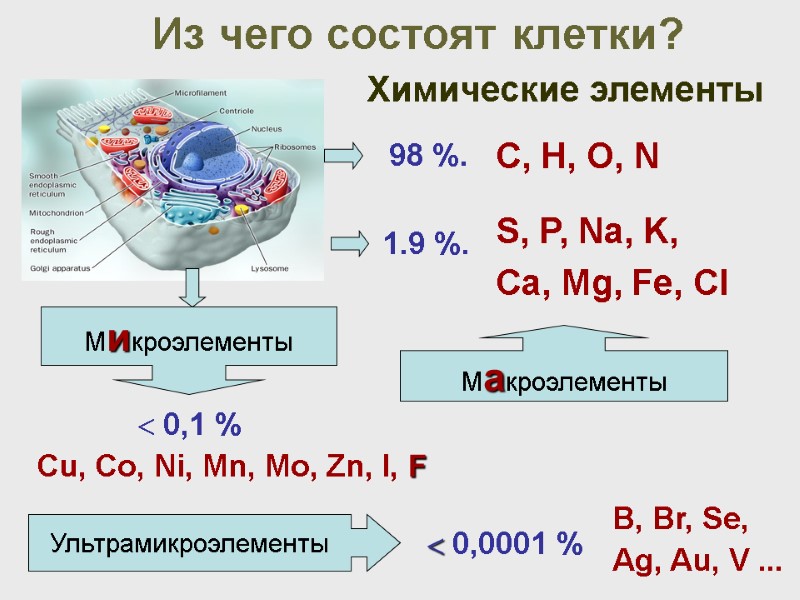 Из чего состоят клетки? Химические элементы Макроэлементы